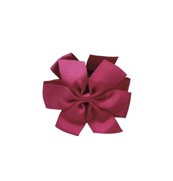 WhatsApp Image 2026-04-10 at 16.45.56